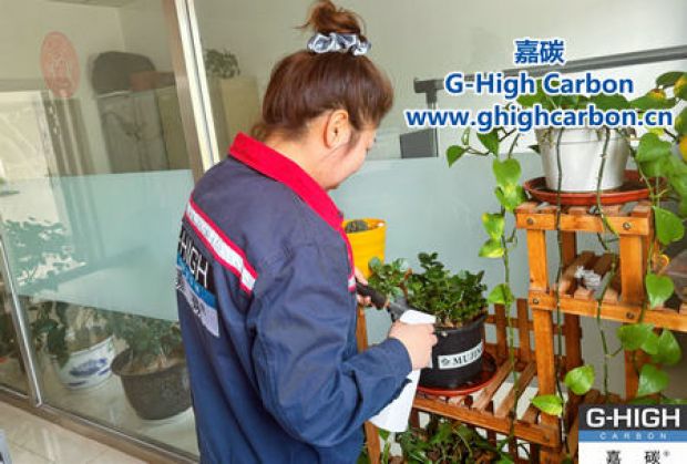 午休時光種花忙，美化辦公環(huán)境添綠意