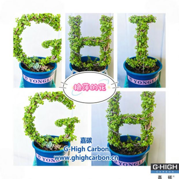 手握增碳劑精研工作，心藏巧思筑花藝生活