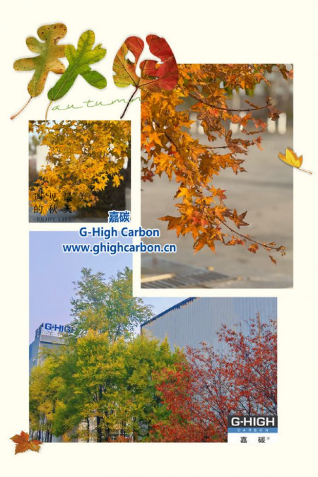 廿載秋華 嘉碳品潤(rùn)時(shí)光