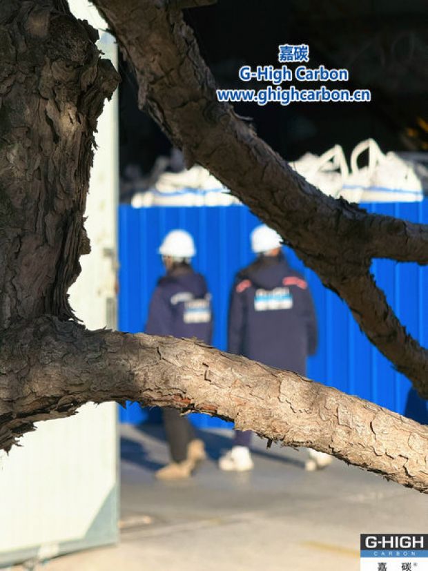 虬干擎風(fēng)，實(shí)干凝勁